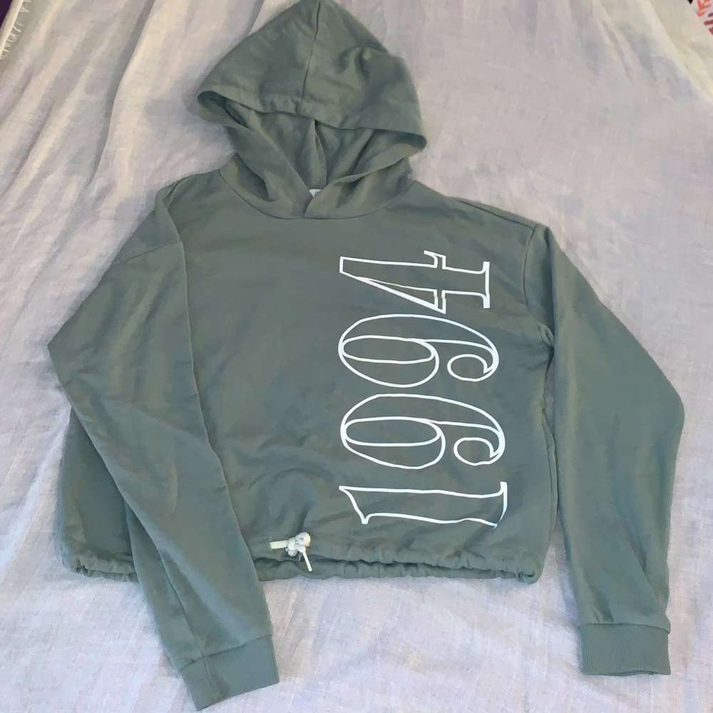 Sage green cropped hoodie